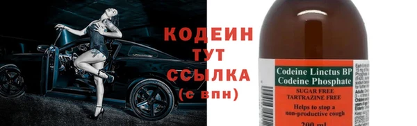 твердый Бородино