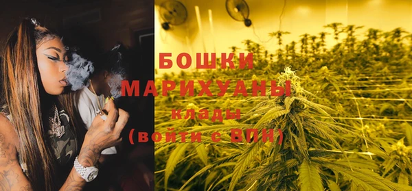 твердый Бородино