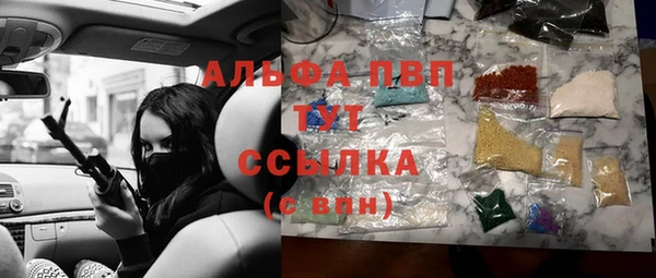 гашик Сосновый Бор
