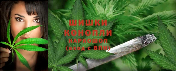 винт Бронницы